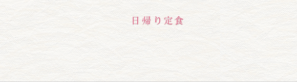日帰り定食