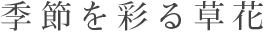 季節を彩る草花