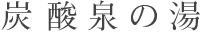 炭酸泉の湯