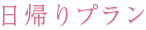 日帰りプラン
