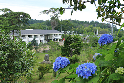 季節を彩る草花-2