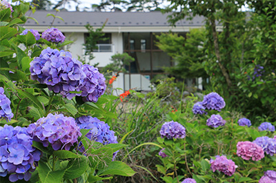 季節を彩る草花-4